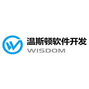 武汉温斯顿软件 信息系统集成服务的创新引领者